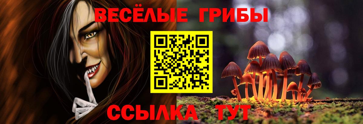 Нарьян-Мар  Галлюциногенные грибы Magic Shrooms  Вход с VPN 